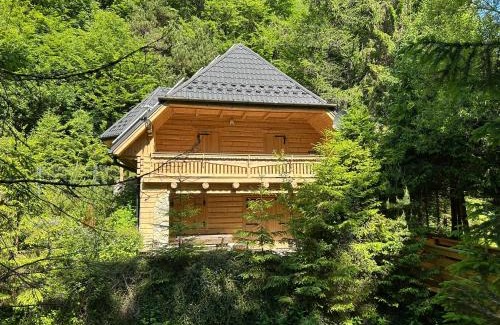 Makow Podhalanski Ski Chalet | Forest House- dom nad górskim potokiem