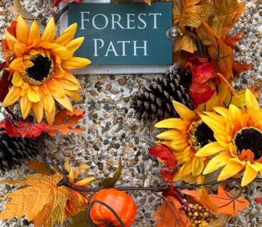 Loughinisland Apartment | Forest Path luxury Studio Apartment with large bedroom bathroom and sauna Sleeps up to 4