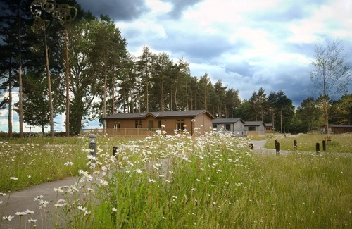 Ryther Apartment | Forest Retreat - With Hot Tub - Dog Friendly
