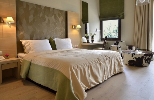 Megalo Chorio Hotel | Forest Suites Boutique Hotel