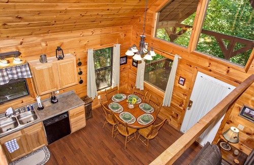 Caton Cabin | Forest View Hideaway: Secluded, Top Amenities, Hot Tub, Game Room, close to all attractions!