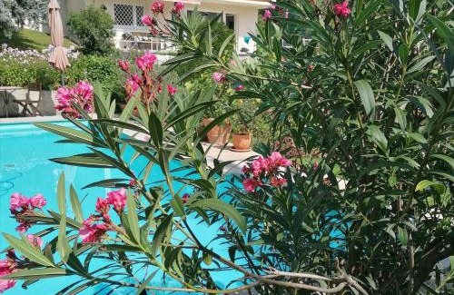 Kleinvassach Apartment | Four Seasons Apartment "GREEN PARADISE"