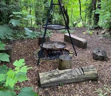Alfriston Apartment | Foxes Hollow - Woodland Cabin - Alfriston