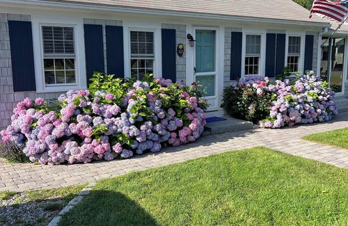 Dennis Port House | Frank's Cozy Cape Cod Beach Cottage