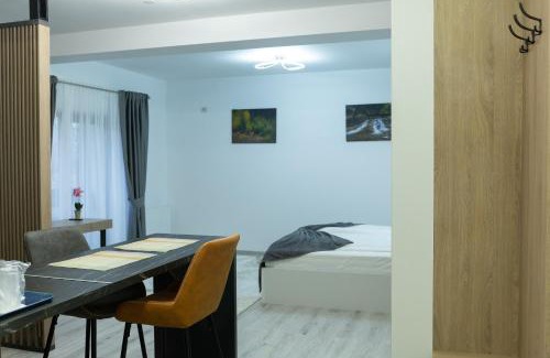 Frasin Apartment | Frasin Studio C1 & 6 km to Voronet Monastery