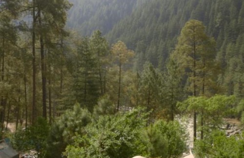 Kasol Bed & Breakfast | Free Culture, Chalal