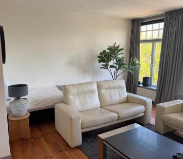 Binnenstad-Zuid Apartment | FreeFly Loft