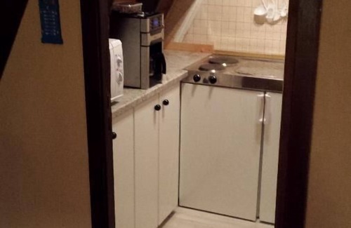 Geyersberg Apartment | Freyunger Nurdachhaus