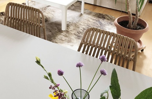 Blankenhain Apartment | Friedas Haus ~ Ferienwohnung Nähe Golfresort