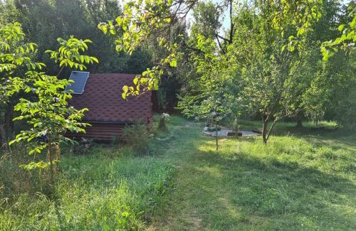 Valea Mare-Pravat Other | Friendship Cabin (Friendship Land)