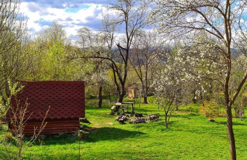 Valea Mare-Pravat Other | Friendship Cabin (Friendship Land)