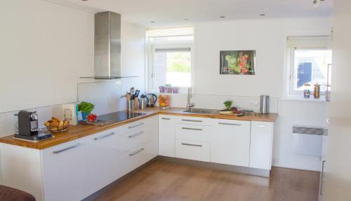 Grou House | Fries Vakantiehuis, grote tuin, nabij het Pikmeer