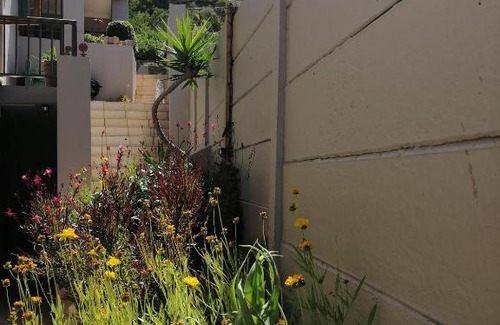 Froggy Farm House | Froggy at the Pond