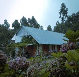 Vattavada House | Fruit land resort