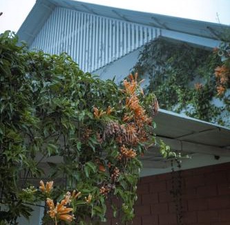 Vattavada House | Fruit land resort
