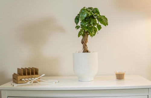 Zentrum-Nord Apartment | FULL HOUSE Studios - The Jungle Apartment - NETFLIX, WiFi inkl