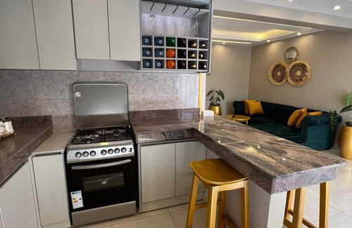 Kireka Apartment | Fully Furnished 2-bedroom Apartment With a Lake-view, Located in Kampala