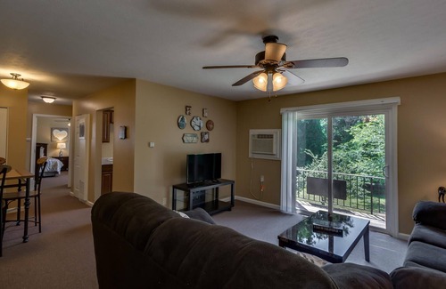 Rutherfordton Apartment | Fully Furnished Apartment for Business or Vacation Travel