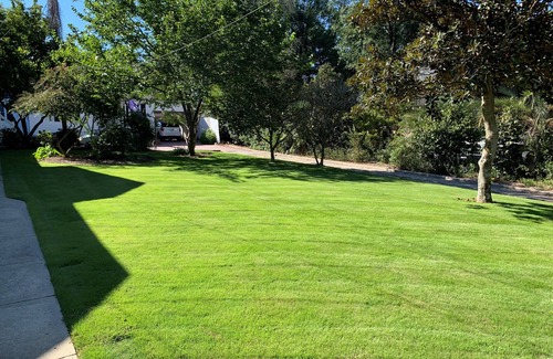 Summerville House | Furnished House in Historic Augusta Neighborhood with Beautiful Screened Porch