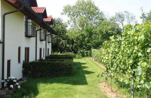 Lauffen am Neckar Hotel | Gästehaus Kraft