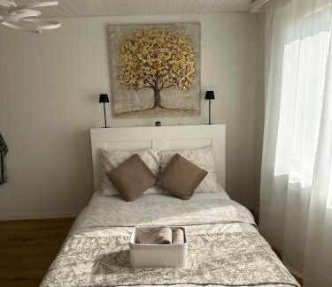 Schonenwerd Apartment | Gästehaus MaryVitty, zentrale zwischen Aarau und Olten, gut verbunden