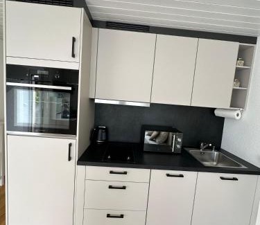 Schonenwerd Apartment | Gästehaus MaryVitty, zentrale zwischen Aarau und Olten, gut verbunden
