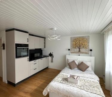 Schonenwerd Apartment | Gästehaus MaryVitty, zentrale zwischen Aarau und Olten, gut verbunden