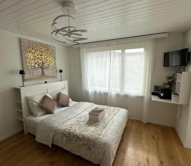 Schonenwerd Apartment | Gästehaus MaryVitty, zentrale zwischen Aarau und Olten, gut verbunden