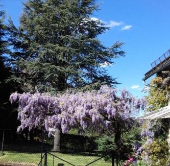 Sarran Apartment | Gîte de France Le cantou des mille sources 3 épis - Gîte de France 8 personnes MAE-0234