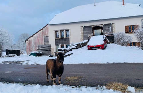 Bouclans Apartment | Gîte de l'Echappée Bêêêle