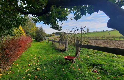Champlon House | Gîte Les Sittelles - Journal/Tenneville