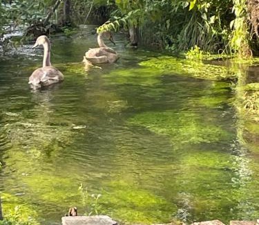 Gasny Apartment | Gîte pieds dans l Epte prêt de Giverny