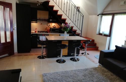Gyula Apartment | Galery Apartman