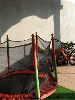 Seksyen 7 Villa | Gallery@7Homestay
