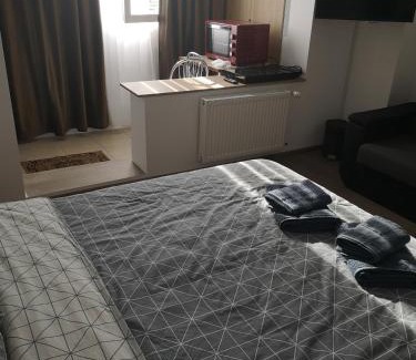 Gara de Nord Apartment | Gara Dinu
