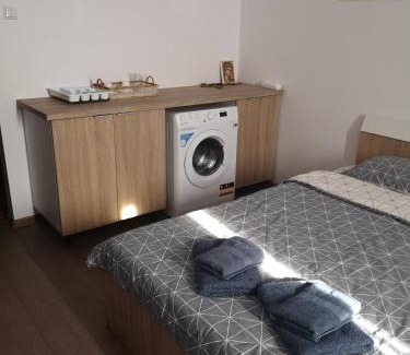 Gara de Nord Apartment | Gara Dinu