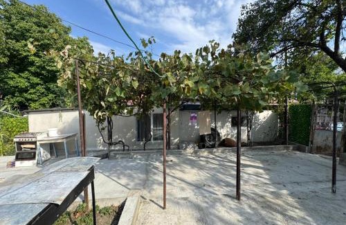 Akhaltsikhe Apartment | Garden house
