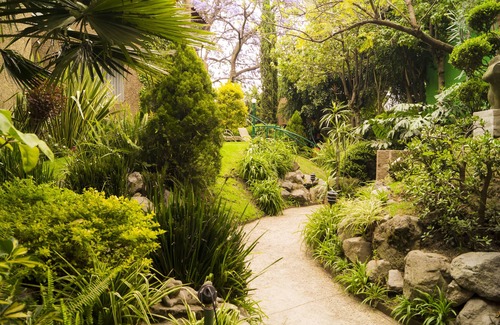 Campestre Apartment | GARDEN HOUSE, WELCOME TO SAN ANGEL NEIGHBOURHOOD