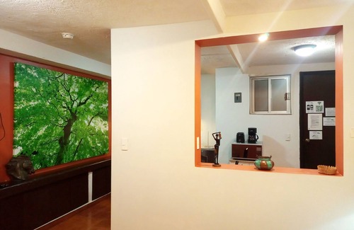 Campestre House | Garden House Welcome to San Ángel