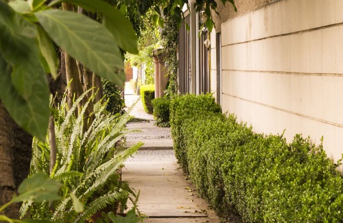 Coyoacan Apartment | GARDEN HOUSE, WELCOME TO SAN ANGEL NEIGHBOURHOOD