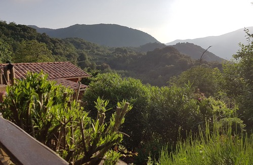 Zicavo House | Garden in the Taravo Valley