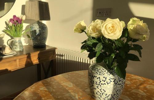 Inverness Apartment | Garden Retreat - City Central Quiet Garden Apartment with Free Parking