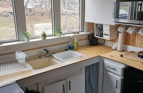 Feltzen South Cabin | Garden Shed Camp @ Off the Beaten Trail