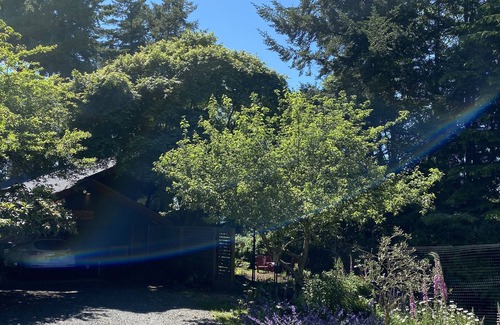 Bowen Island House | Garden suite at Casa Helena pet friendly Lisence#00000705