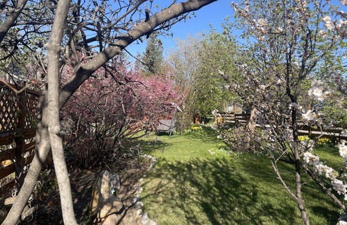 East Kootenay House | Garden Suite Mountain Gateway