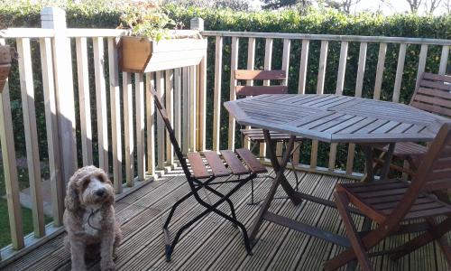 Malborough Apartment | Garden View Apartment