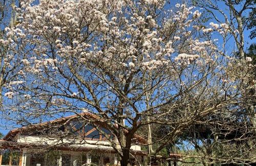 Sao Roque Hotel | Gardenian Boutique Hotel