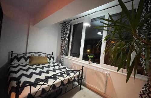 Petrosani Apartment | Garsonieră Ultracentrală Petroșani Valea Jiului