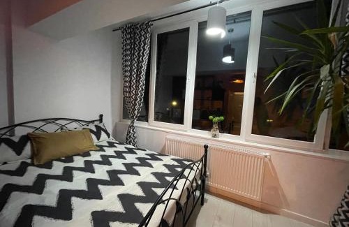 Petrosani Apartment | Garsonieră Ultracentrală Petroșani Valea Jiului