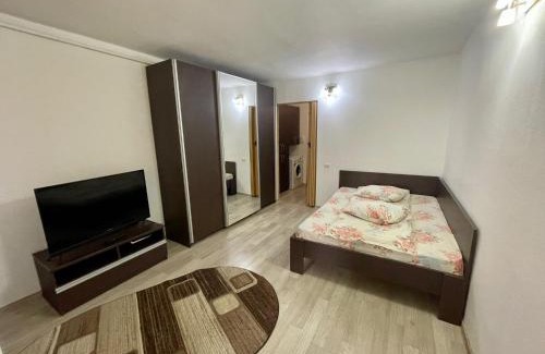 Pitesti Apartment | Garsoniera moderna parcare internet